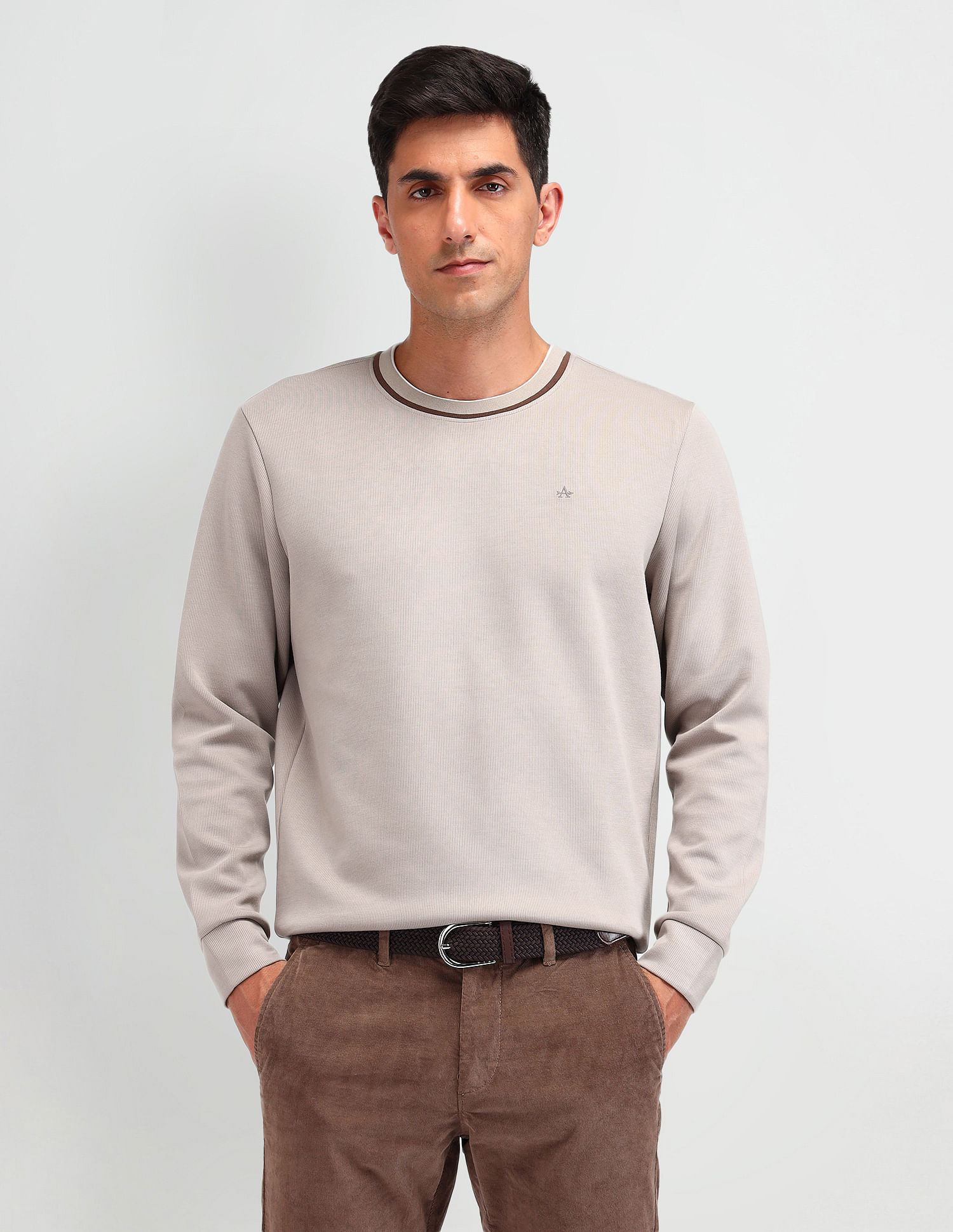 Arrow Textured Regular Fit Sweatshirt
