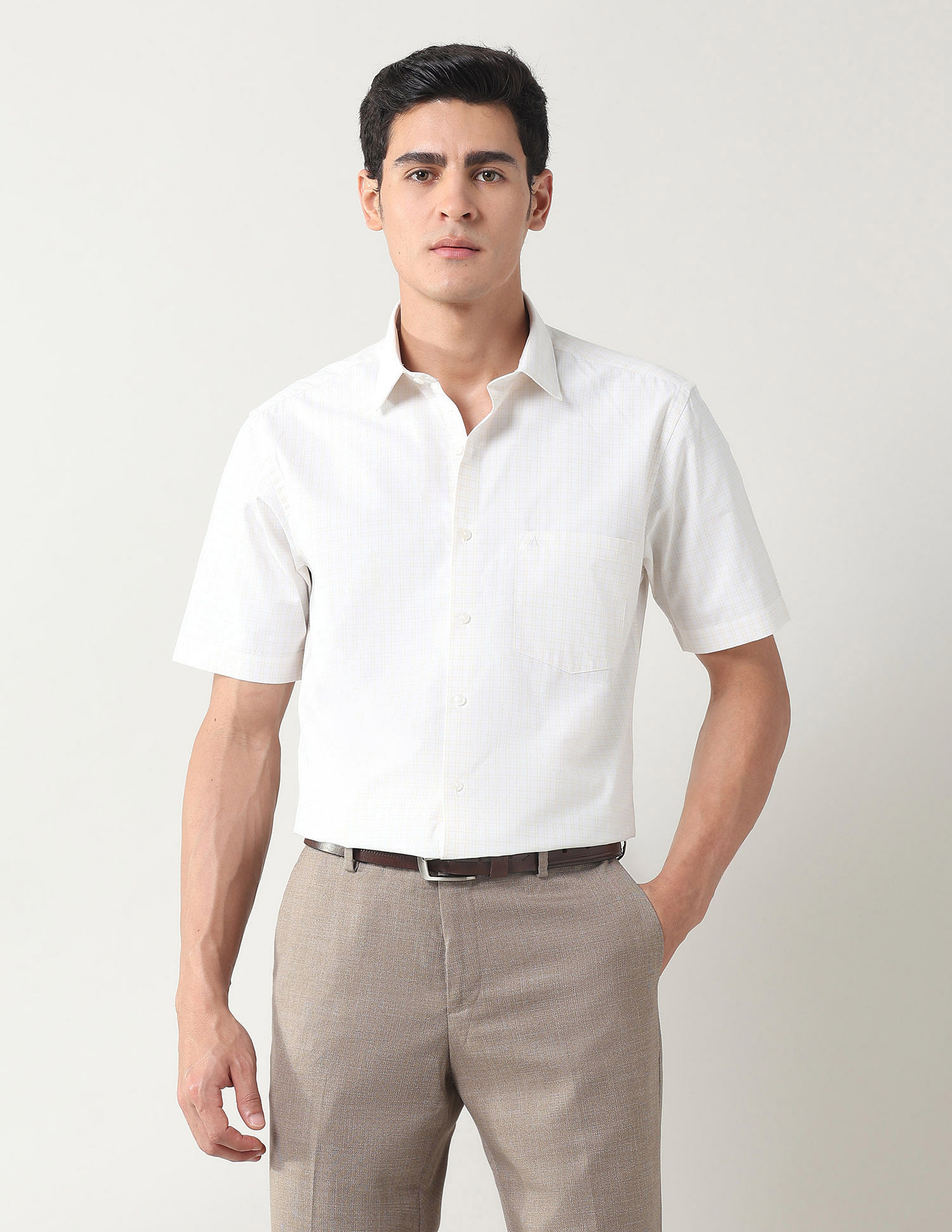 Arrow Graph Checked Liberty Classic Fit Shirt