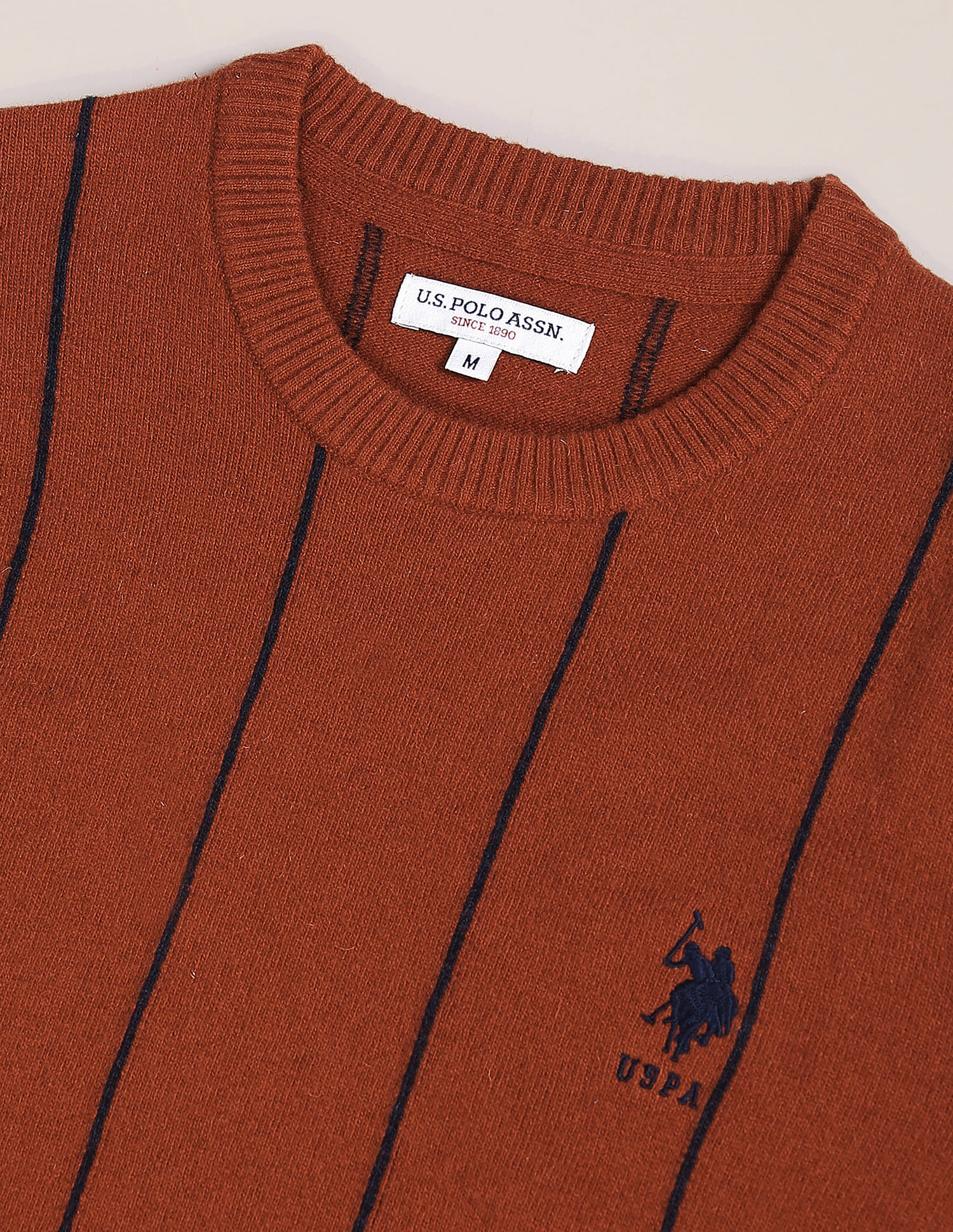U.S. Polo Assn. Crew Neck Vertical Stripe Sweater