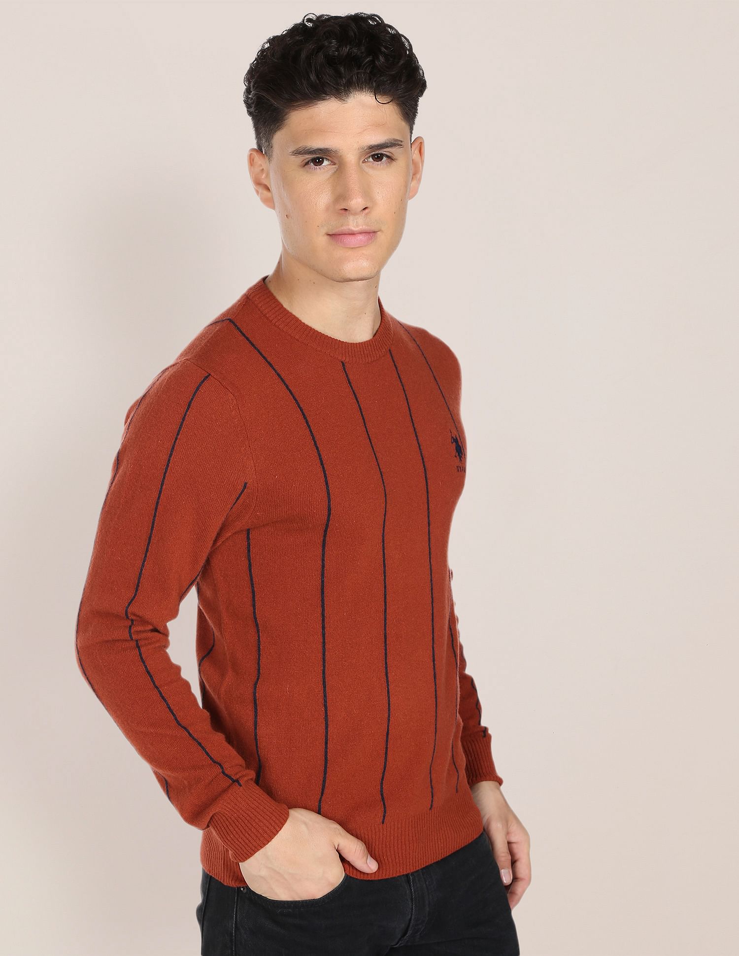 U.S. Polo Assn. Crew Neck Vertical Stripe Sweater