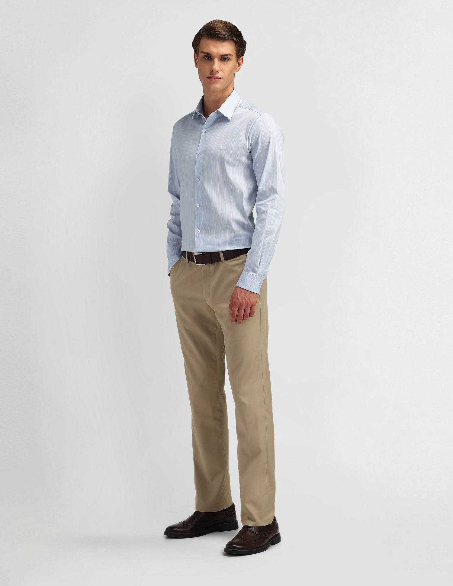 Arrow Newyork Brooklyn Ultra Slim Fit Pinstriped Shirt
