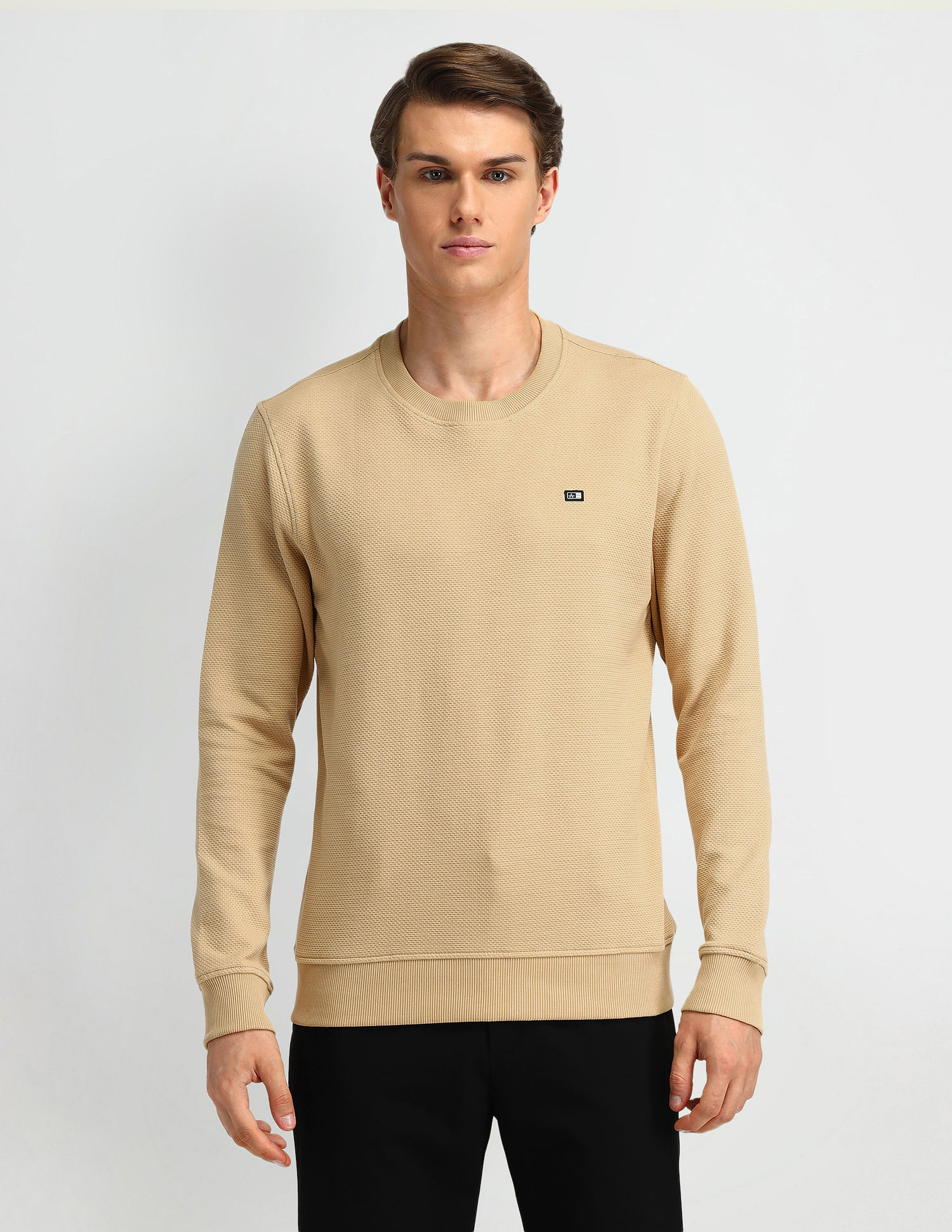 Arrow Sport Textured Regular Fit Sweatshirt