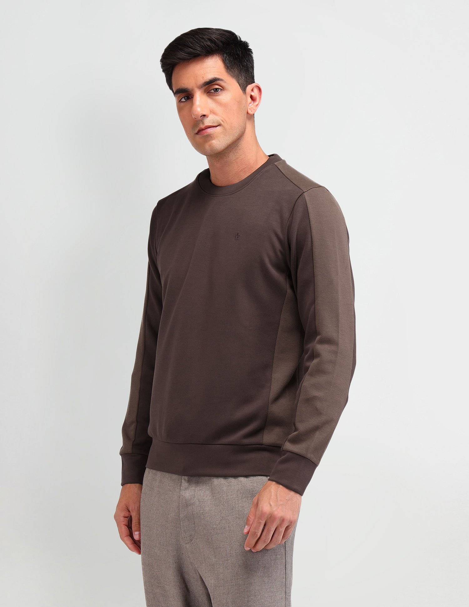 Arrow Textured Regular Fit Sweatshirt