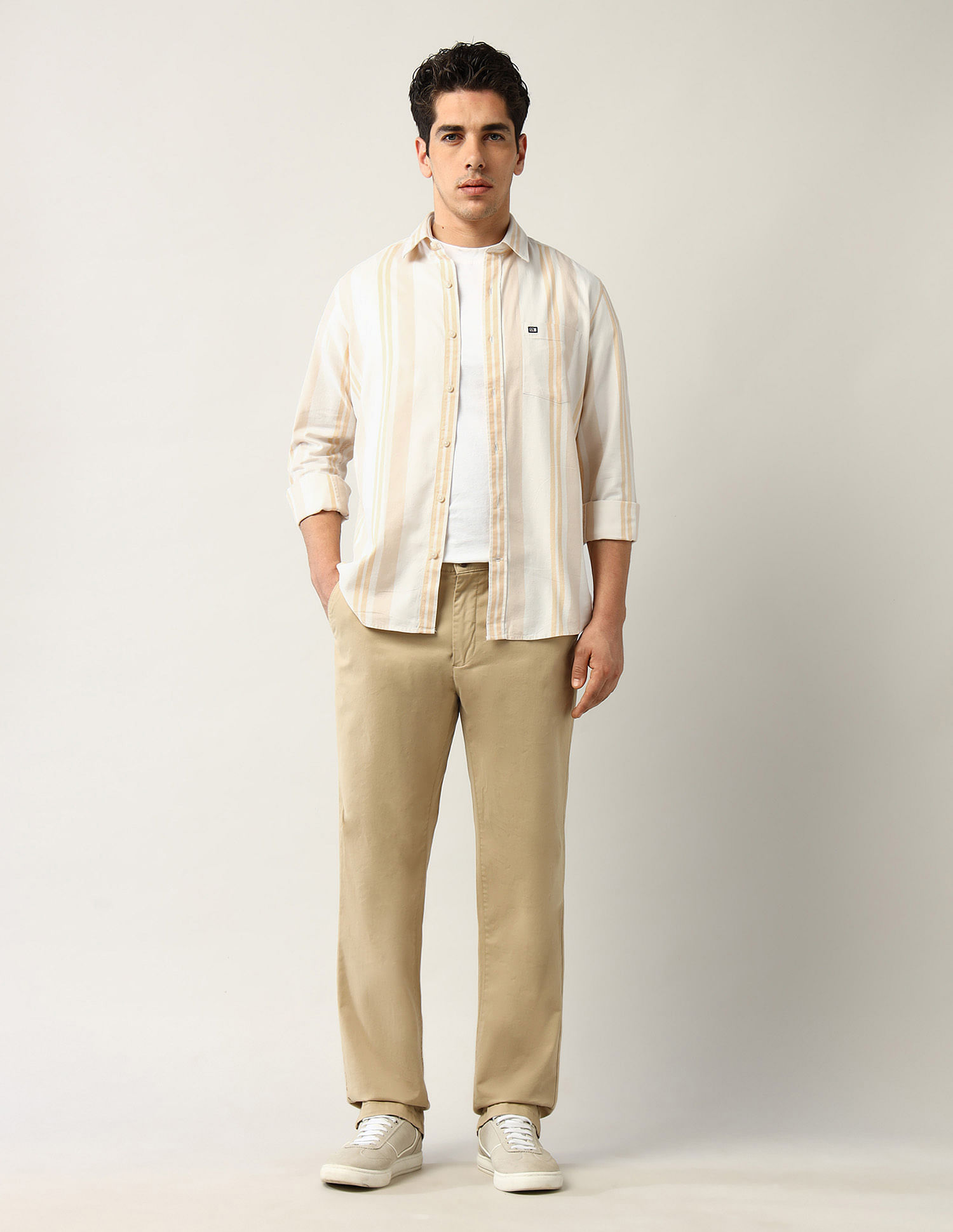 Arrow Sport Vertical Striped Slim Fit Shirt