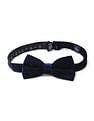 Arrow Men Pre Tied Velvet Bow