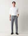 Arrow Textured Regular Fit Dobby Trousers
