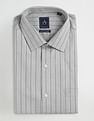 Arrow Manhattan Slim Fit Cotton Shirt