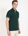 Tommy Hilfiger Solid Regular-Fit Cotton Polo Shirt