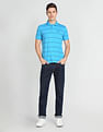 Arrow Sports Horizontal Stripe Cotton Polo Shirt