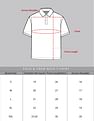 AD by Arvind Modern Solid Pique Polo Shirt