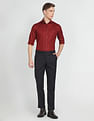 Arrow Manhattan Slim Fit Vertical Stripe Shirt