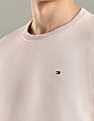 Tommy Hilfiger Solid Regular-Fit Cotton Sweater