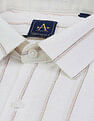 Arrow Vertical Striped Liberty Classic Fit Shirt