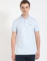 Tommy Hilfiger Solid Slim Fit Polo