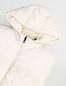 Arrow Sport Sleeveless With Hood Padded Jacket