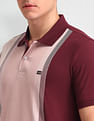 Arrow Sport Regular Fit Striped Polo Shirt