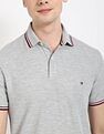 Tommy Hilfiger Graphic Regular Fit Polo