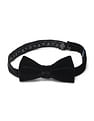 Arrow Men Pre Tied Velvet Bow