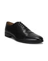 Arrow Men Sneffles 2.0 Leather Shoes