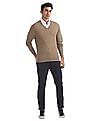 U.S. Polo Assn. Merino Wool V-Neck Sweater